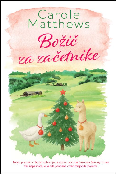 Božič za začetnike - MV, Carole Matthews