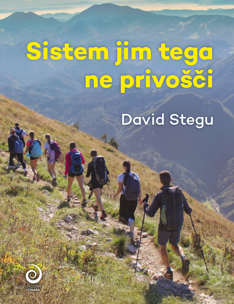 Sistem jim tega ne privošči, David Stegu