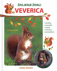 Življenje živali, Veverica