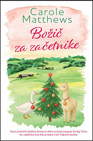 Božič za začetnike - MV