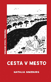 Cesta v mesto