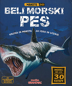 Beli morski pes (Makete 3D)