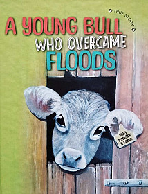 A young bull who overcame floods: true story