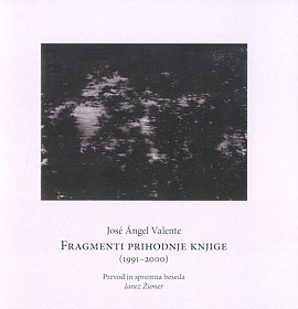 Fragmenti prihodnje knjige (1991-2000)
