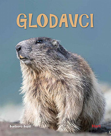 Glodavci