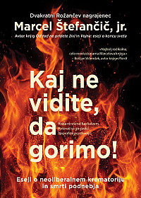 Kaj ne vidite, da gorimo!