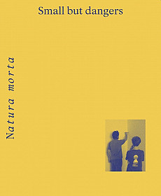 Small but dangers: Natura morta