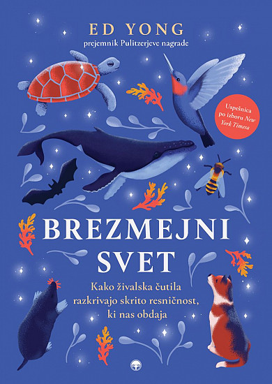 Brezmejni svet