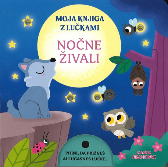 Nočne živali (Moja knjiga z lučkami)