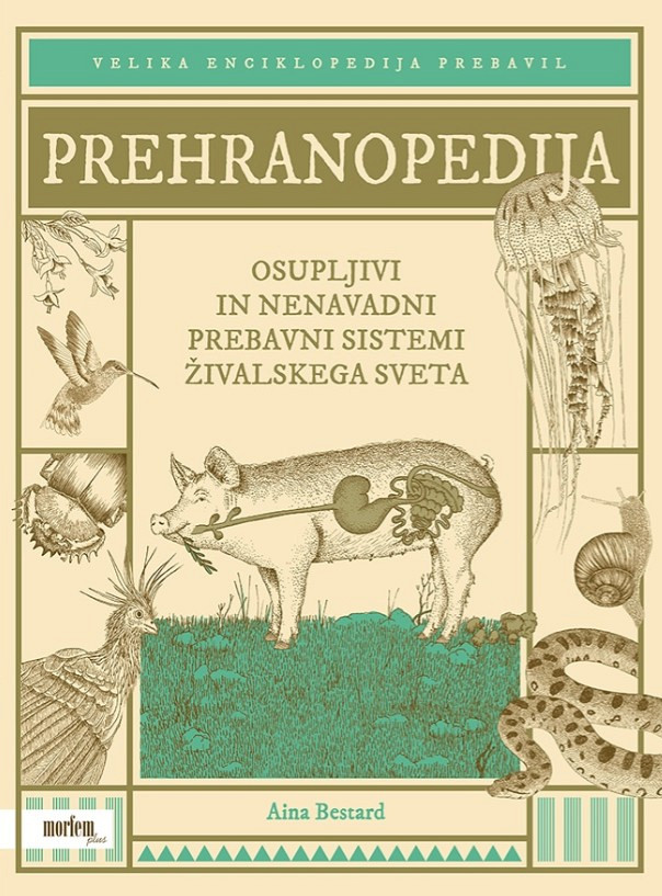 Prehranopedija, Aina Bestard