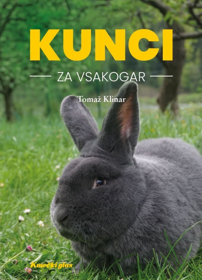 Kunci za vsakogar, Tomaž Klinar