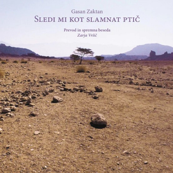 Mistični pejsaži, Brane Senegačnik