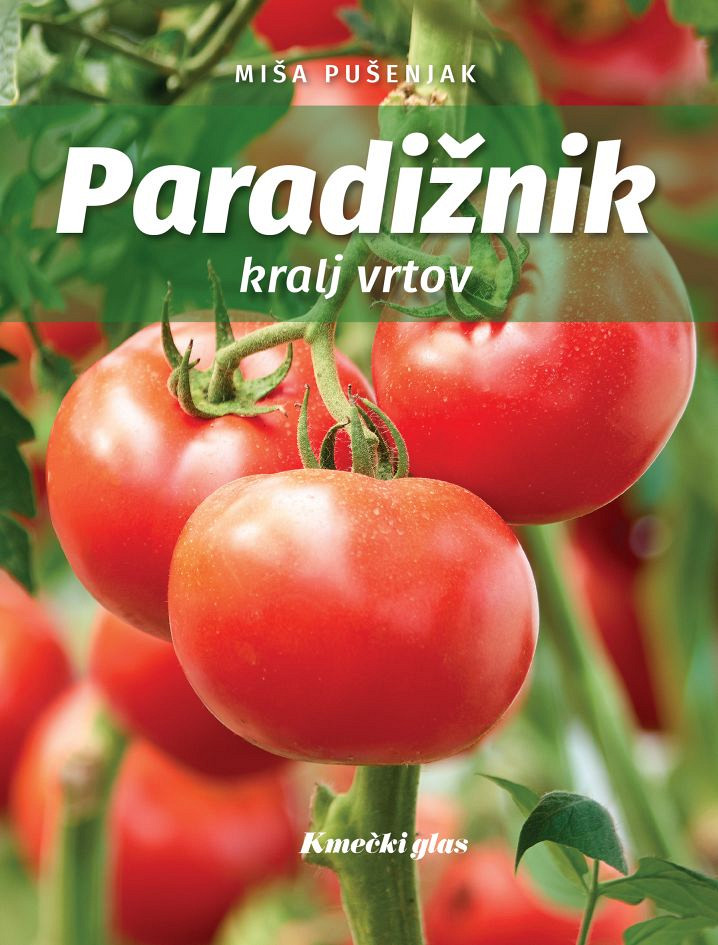 Paradižnik: kralj vrtov, Miša Pušenjak