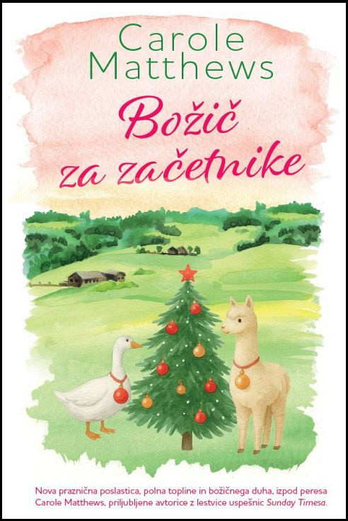 Božič za začetnike - TV, Carole Matthews