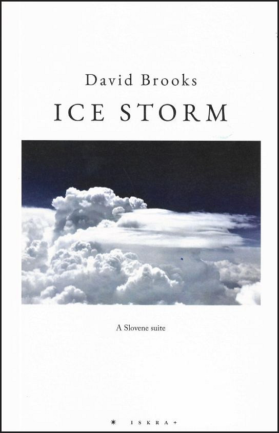 Ice Storm, David Brooks