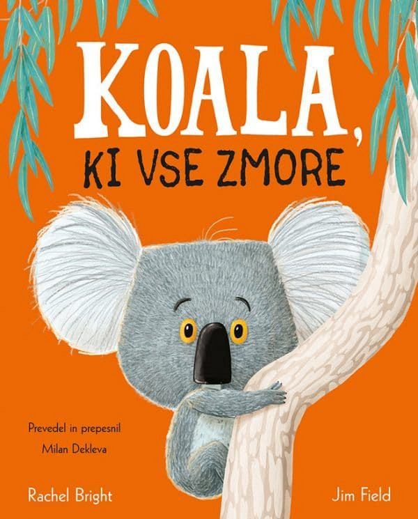 Koala, ki vse zmore