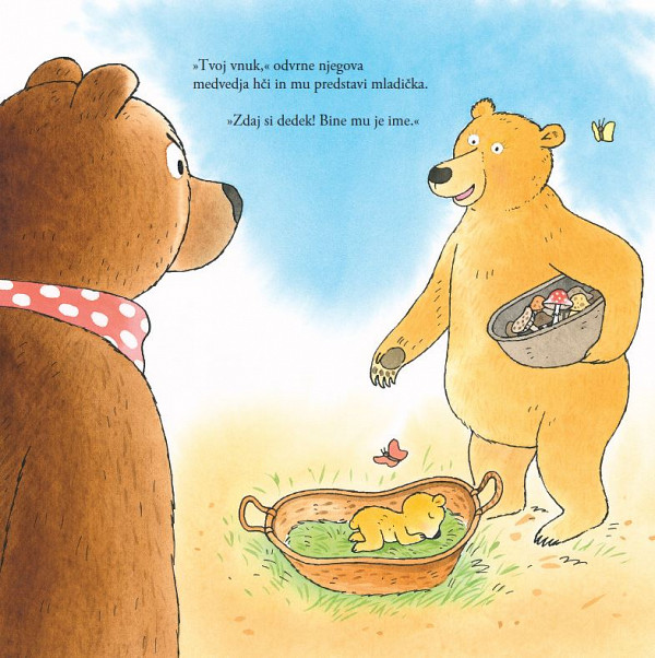 Kako je medved velikan postal prijazen medo