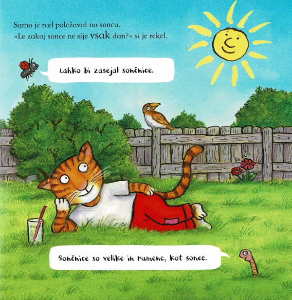 Samo vzgoji sončnico