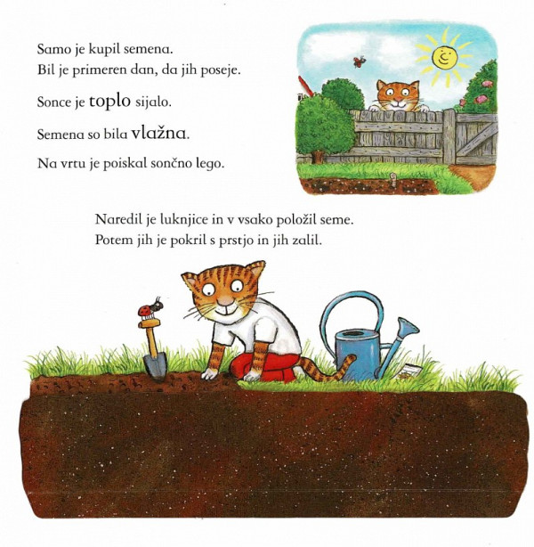 Samo vzgoji sončnico