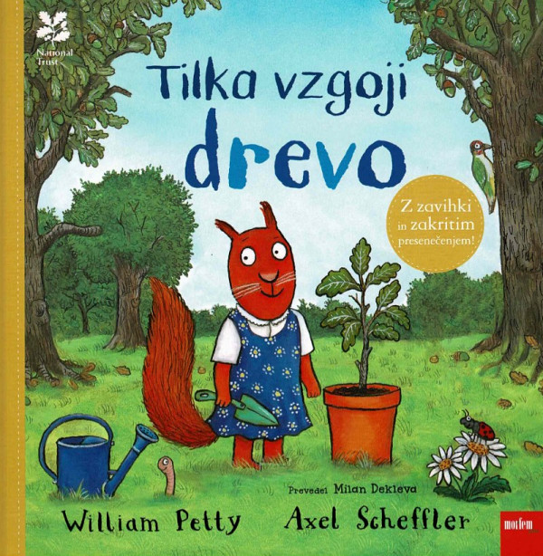 Tilka vzgoji drevo