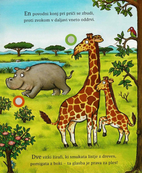 Hrupa džungla - zvočna knjiga