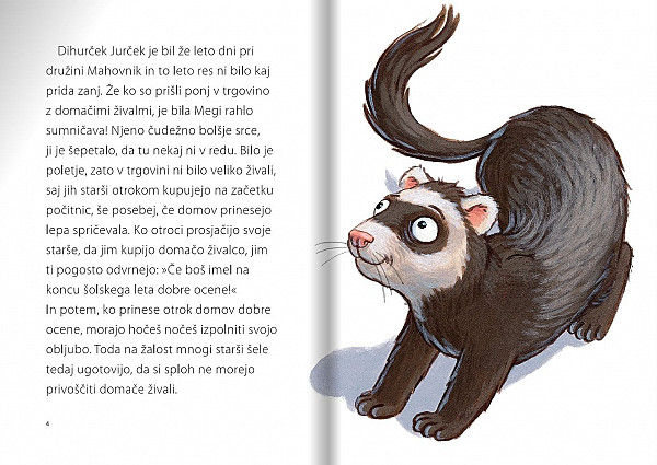 Čudežna bolha Megi in dihurček Jurček