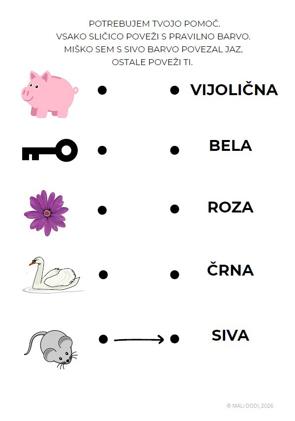 Mali Dodi - Čarobni svet matematike