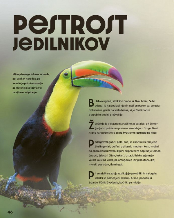 Veličastni svet živali
