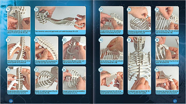 Človeško telo (Makete 3D)