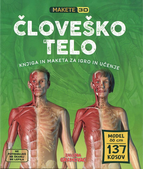 Človeško telo (Makete 3D)