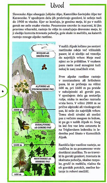 Alpsko cvetje slovenije