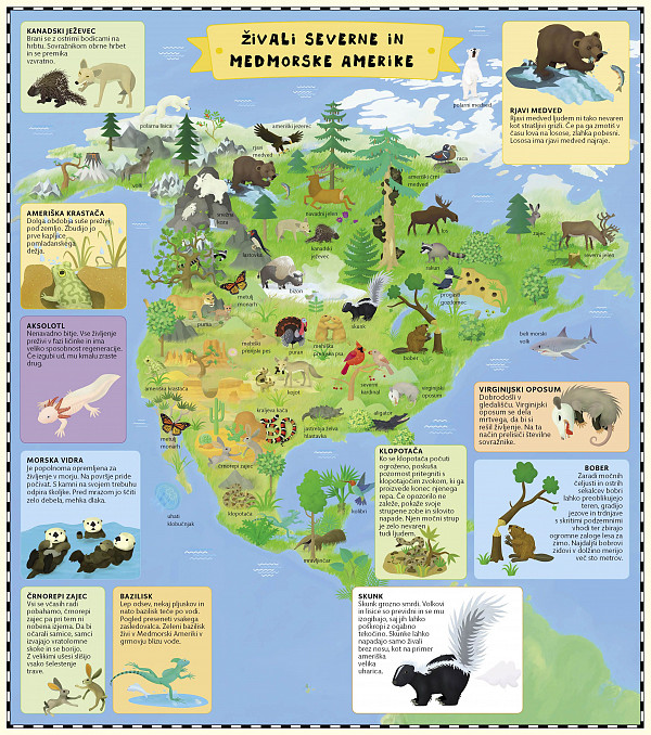 Atlas živali: barviti svet živali na 7 zložljivih zemljevidih	