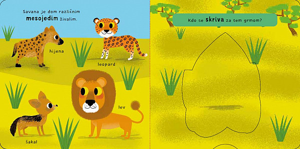 KOMPLET: Igrive kartonke (4 izdaje)