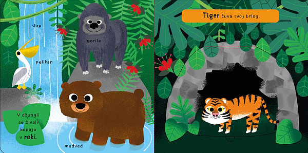 KOMPLET: Igrive kartonke (4 izdaje)