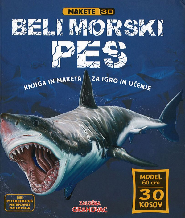 Beli morski pes (Makete 3D)