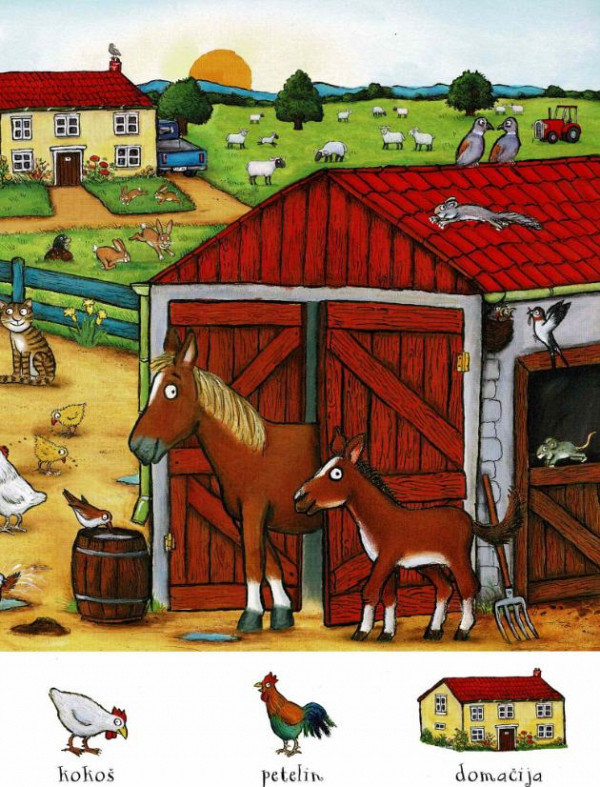 Na kmetiji - Poglej in poišči