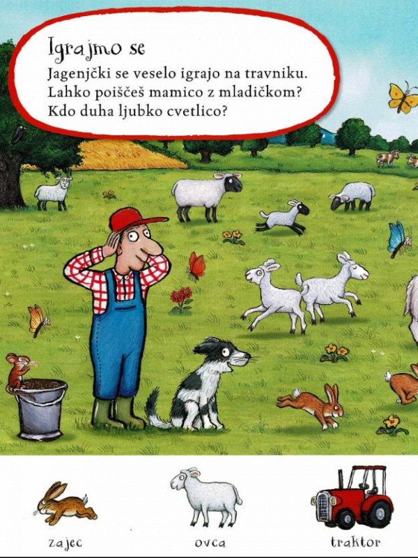 Na kmetiji - Poglej in poišči