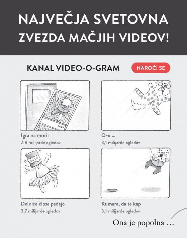 Mačka smrti! (Mačka na begu 1)