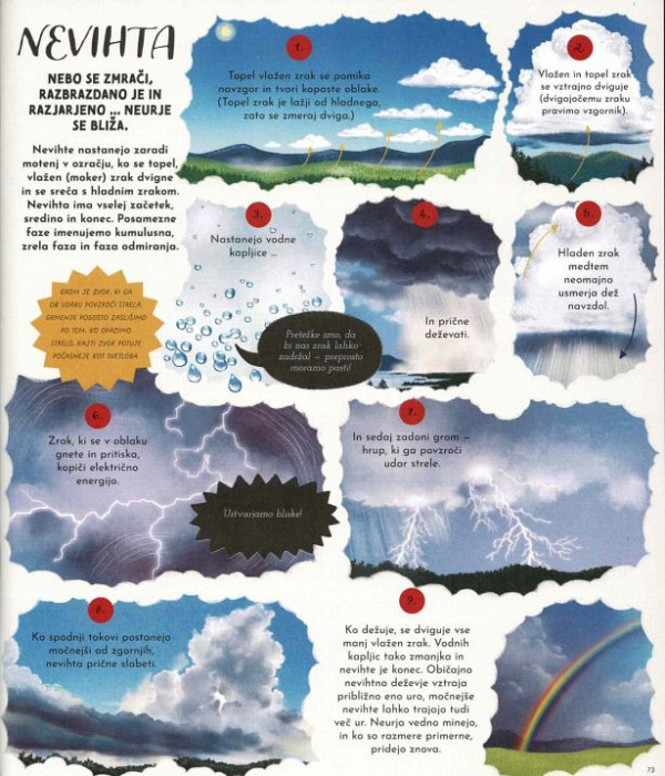 Narava v krogu življenja