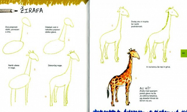 Naučimo se risati - džungla