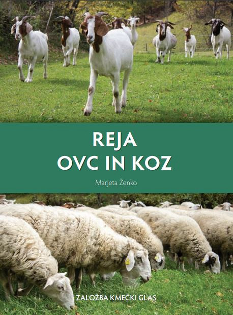 Reja ovc in koz
