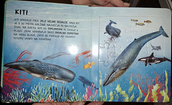 Morske živali (Knjiga sestavljanka)