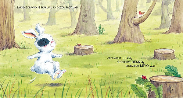 Skrivnostna škatlica