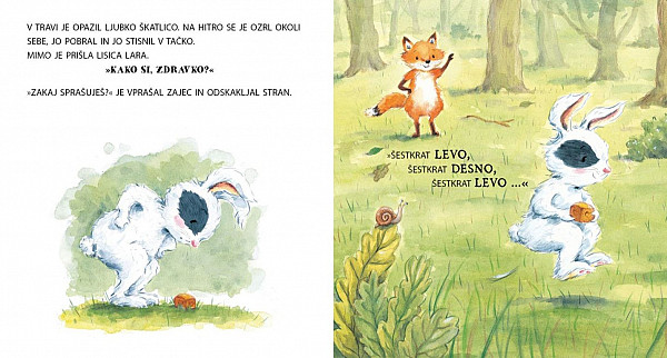 Skrivnostna škatlica