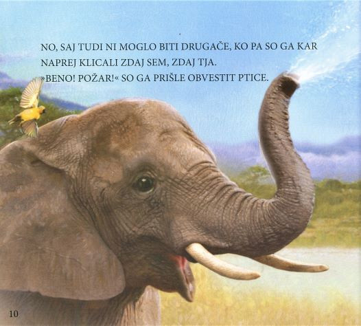 Slon in velikodušnost (Zbirka Vrline)