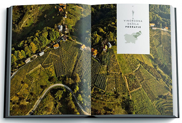 Slovenija - vinska dežela (SLO) (poškodovan ovojni papir)