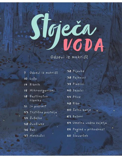 Stoječa voda: Odsevi iz mokrišč