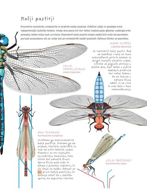 Stoječa voda: Odsevi iz mokrišč