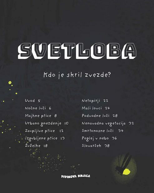 Svetloba: Kdo je skril zvezde?