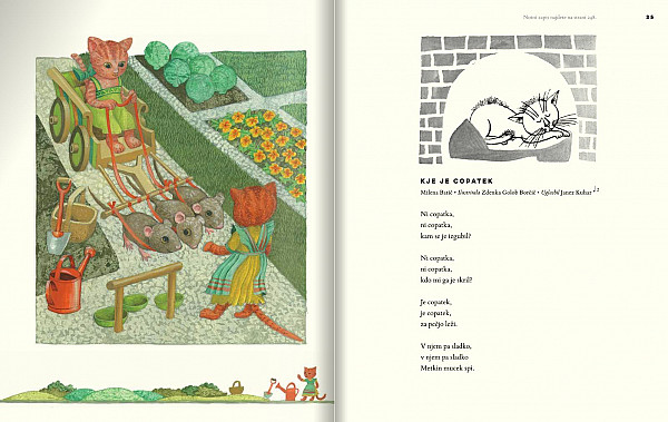 Štiri tačke, psi in mačke